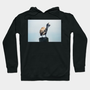 Cleaning Pelican Hoodie